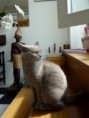 /album/galerie-de-photos-page-daccueil/p1060838-jpeg/