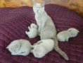 /album/galerie-de-photos-page-daccueil/p1090022-jpeg/