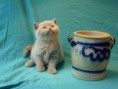 /album/galerie-de-photos-page-daccueil/p1090126-jpeg/