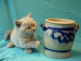 /album/galerie-de-photos-page-daccueil/p1090127-jpeg/