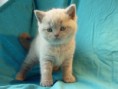/album/galerie-de-photos-page-daccueil/p1090153-jpeg/