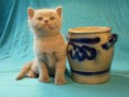 /album/galerie-de-photos-page-daccueil/p1090156-jpeg/