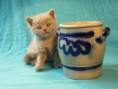 /album/galerie-de-photos-page-daccueil/p1090159-jpeg/